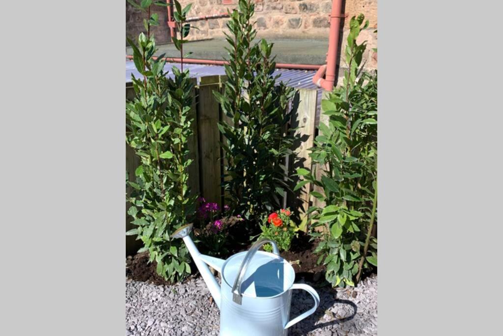 Berwick Upon Tweed The Nook - A Stylish Apartment With Garden, Near The Beach מראה חיצוני תמונה